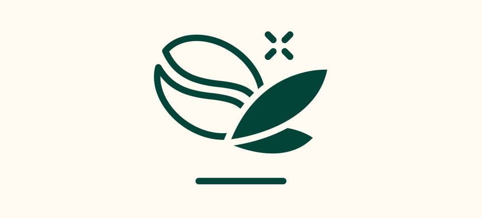 Caféine - Nuxe Worldwide