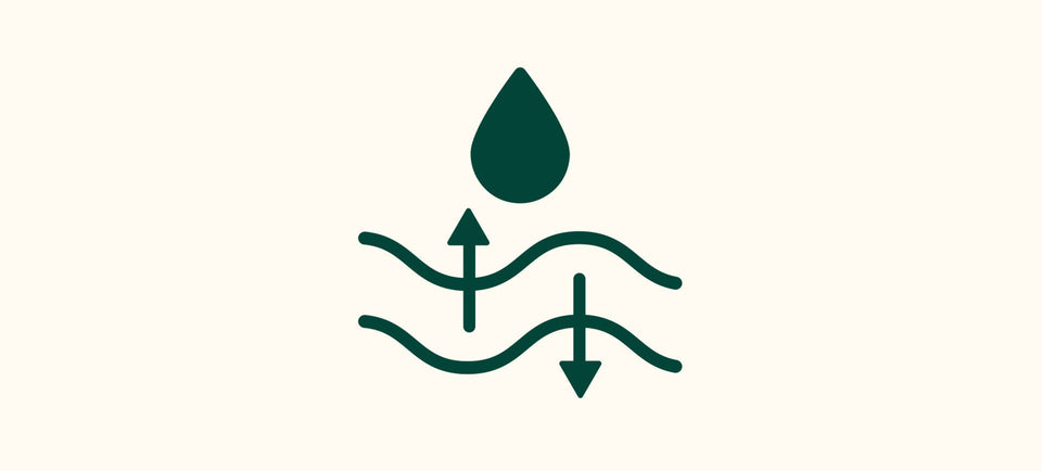 Acide hyaluronique - Nuxe Worldwide