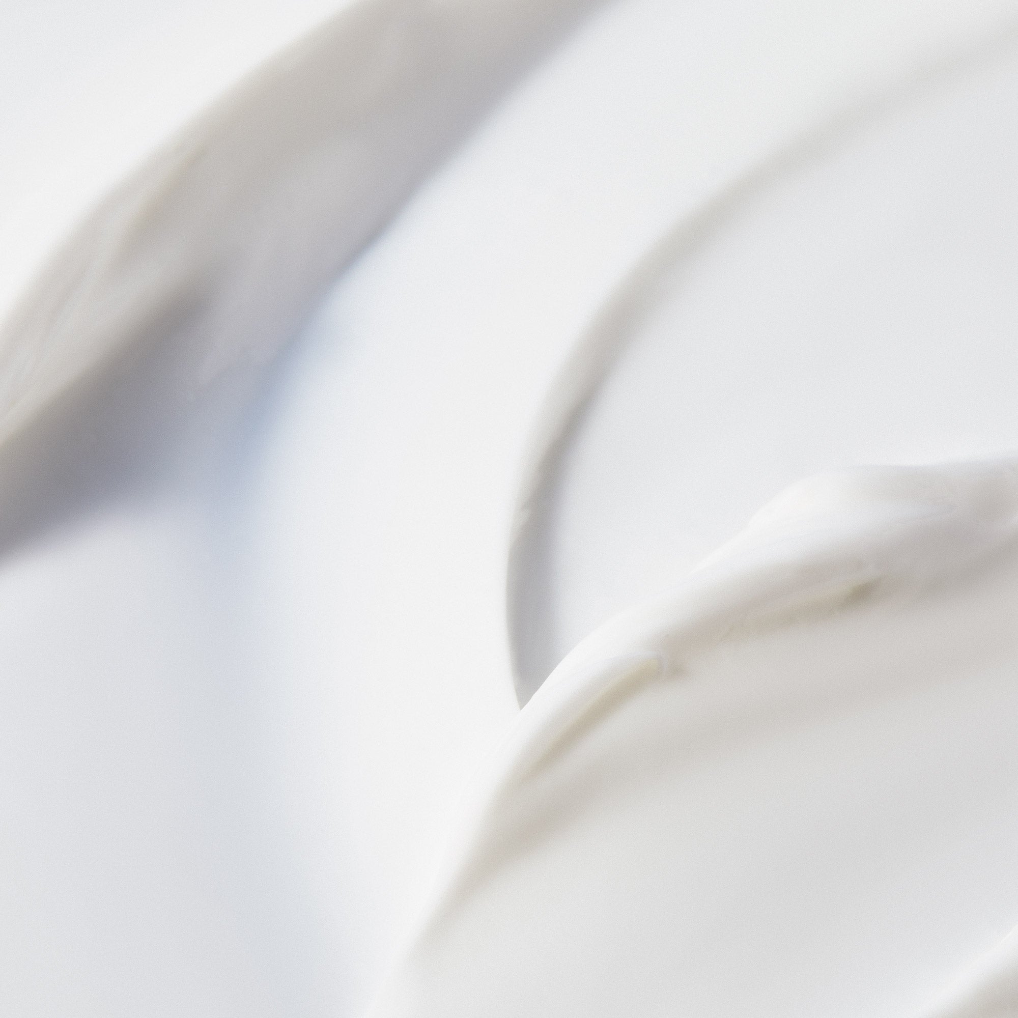 48H Plumping Hydrating Cream Crème fraîche de beauté 50ml | NUXE
