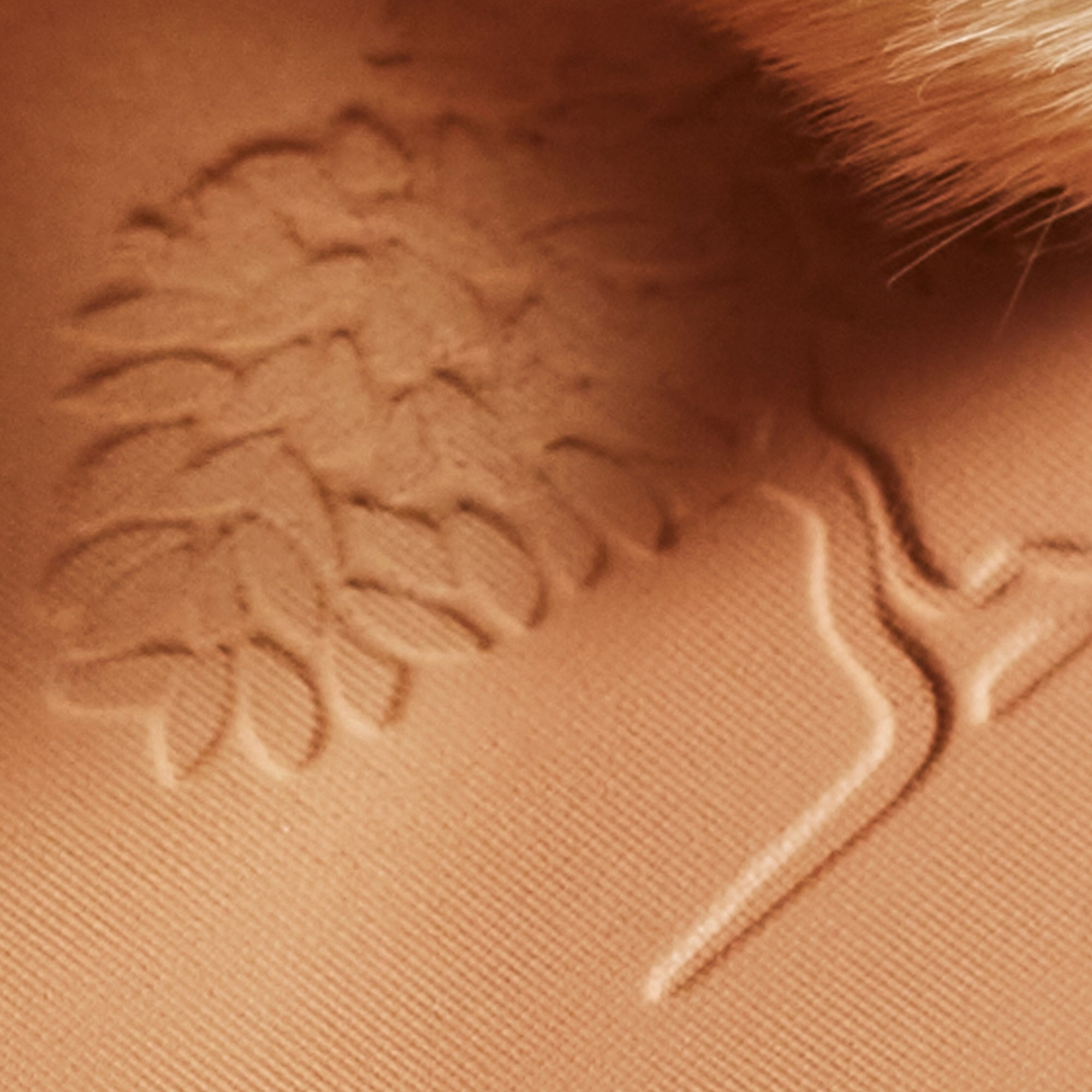 Poudre éclat Prodigieux® - Nuxe Worldwide